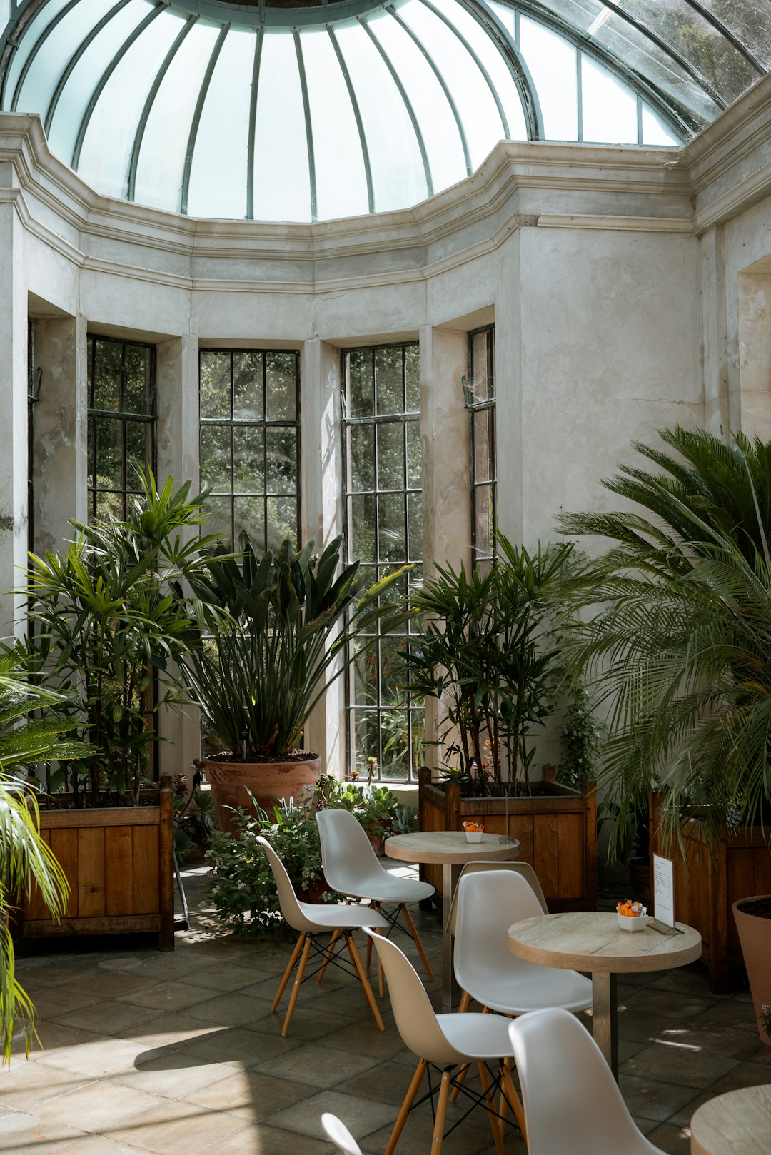 House garden plants