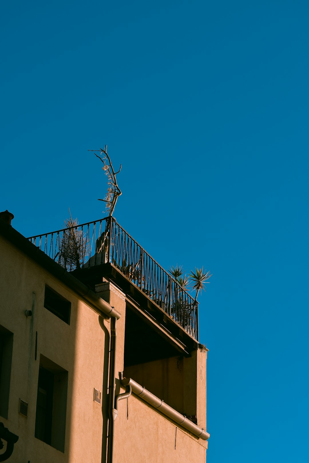 Duplex roof deck detail